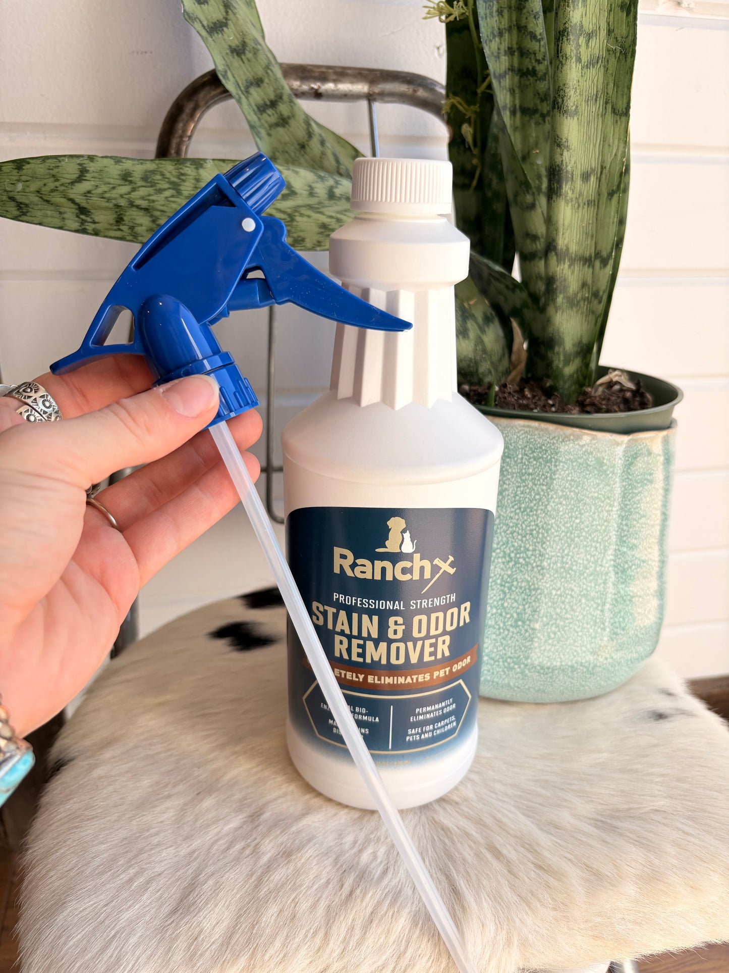 Ranch X Pet & Stain Remover