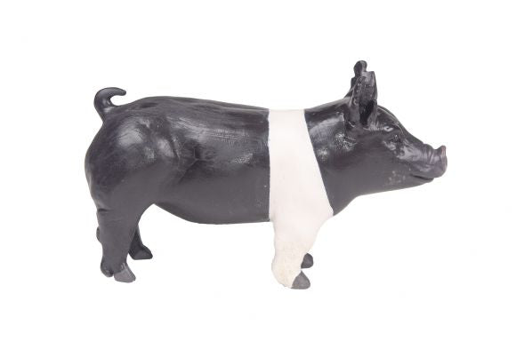 Champion Show Pig PRE-ORDER