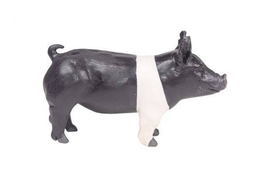 Champion Show Pig PRE-ORDER