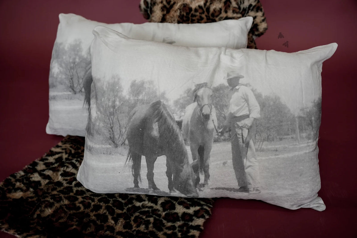 Pick A Pony Pillow Shams