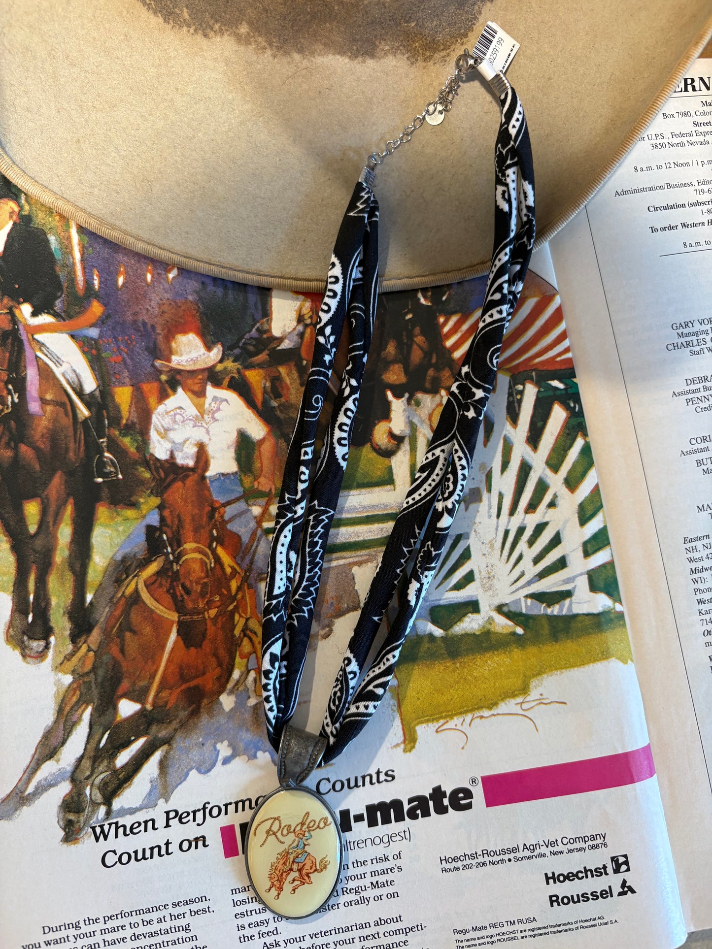 16” Bandanna Pendant Necklace *Bronc