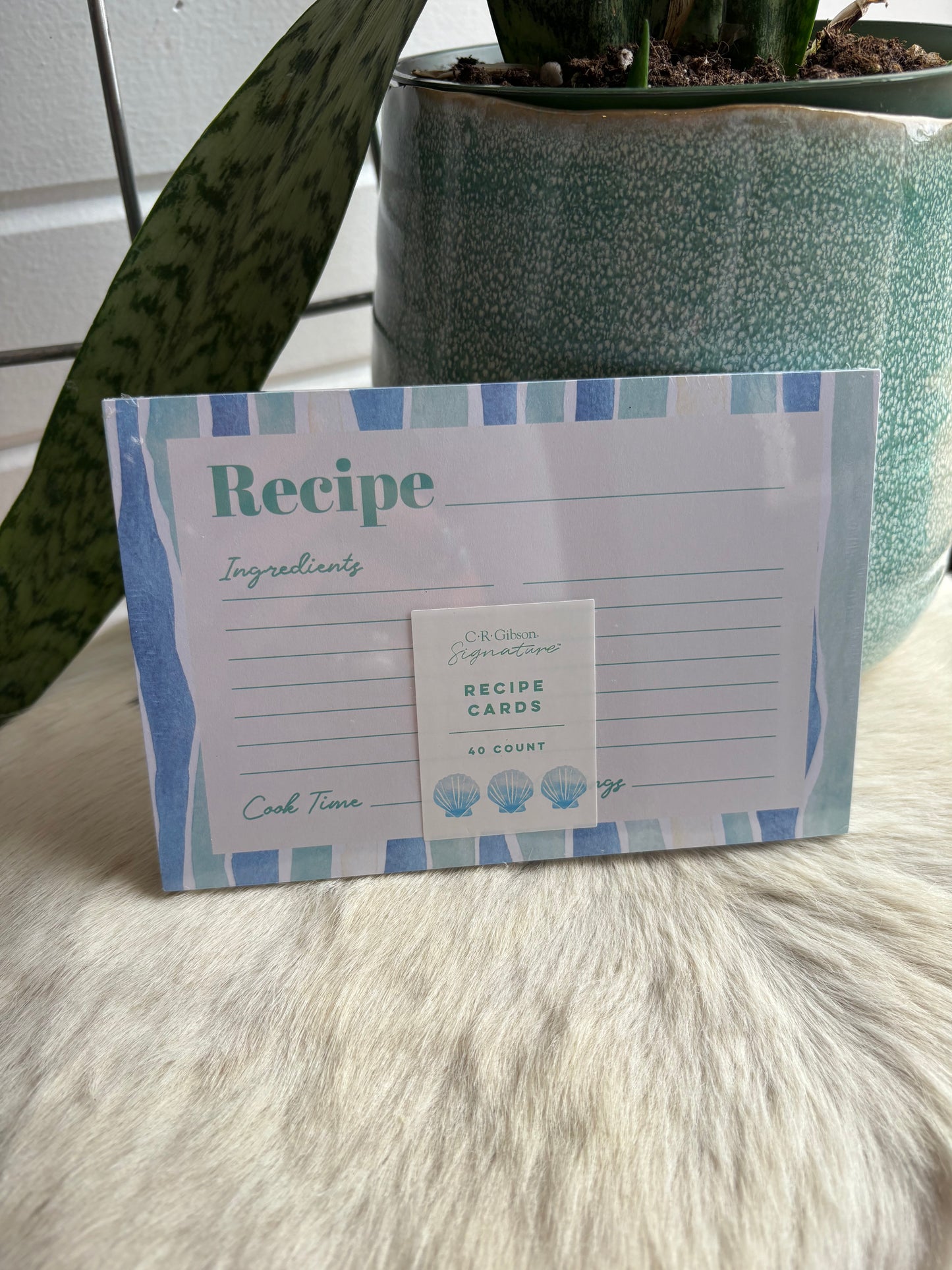 Blue Stripe Recipe Cards