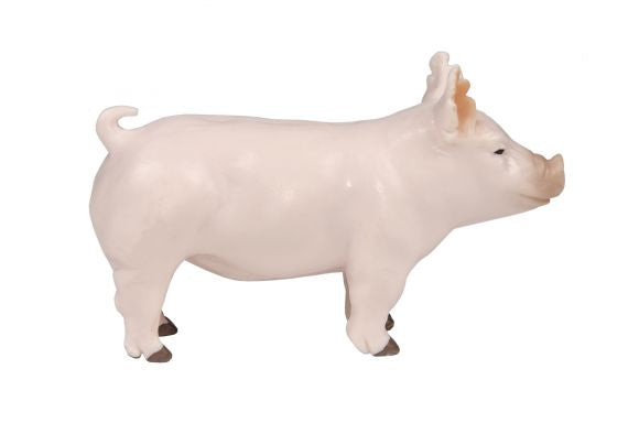 Champion Show Pig PRE-ORDER