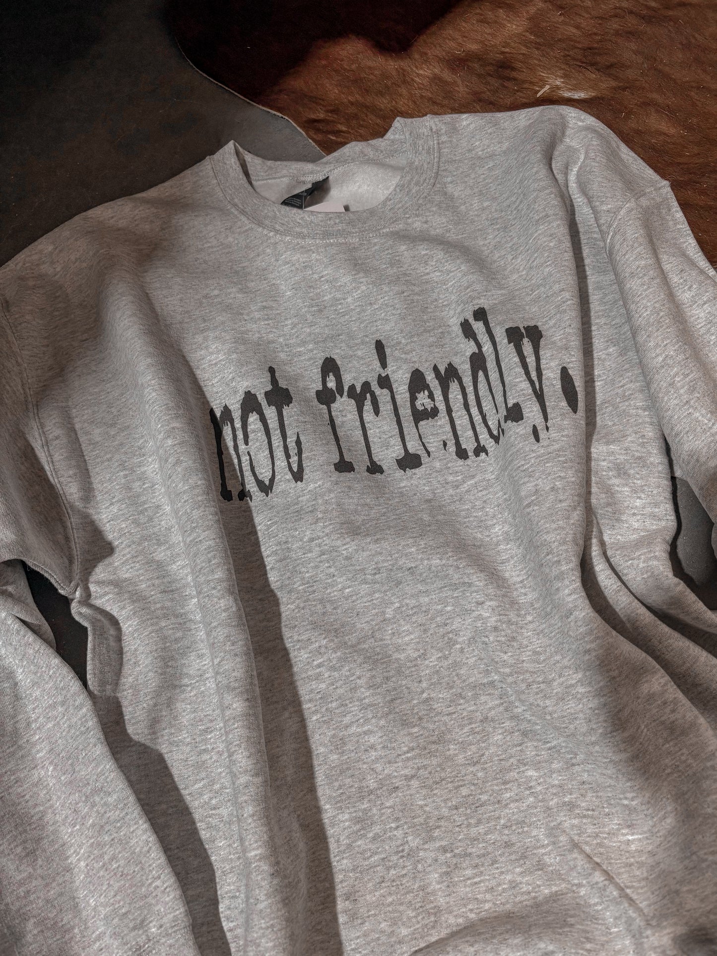 Not Friendly Crewneck