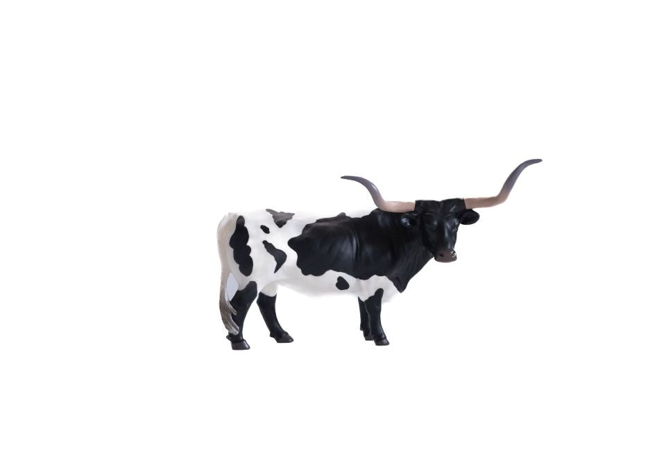 Little Buster Black & White Longhorn