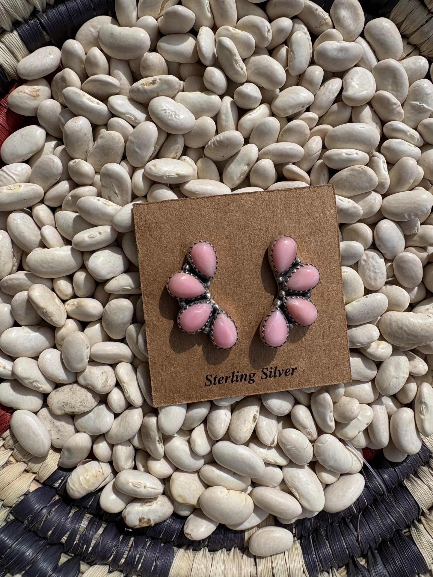 Pink Conch 4 Stone Crawler