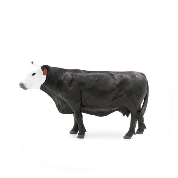 Little Buster Baldie Cow